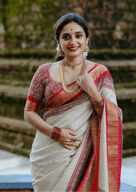 Arya Heritage Dola Silk Saree